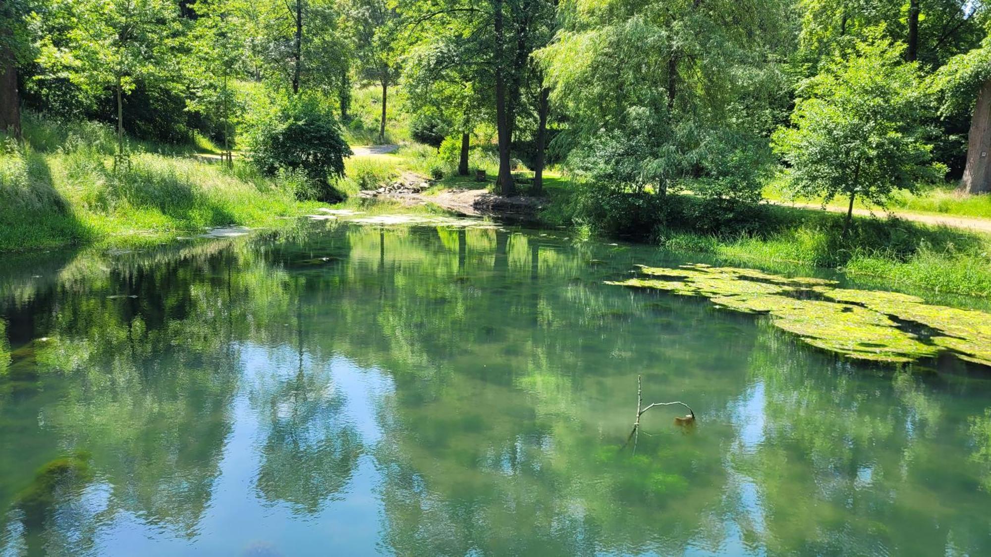 Urlaub Am Rhein, Ferienwohnung Mit Garten Boppard Eksteriør billede